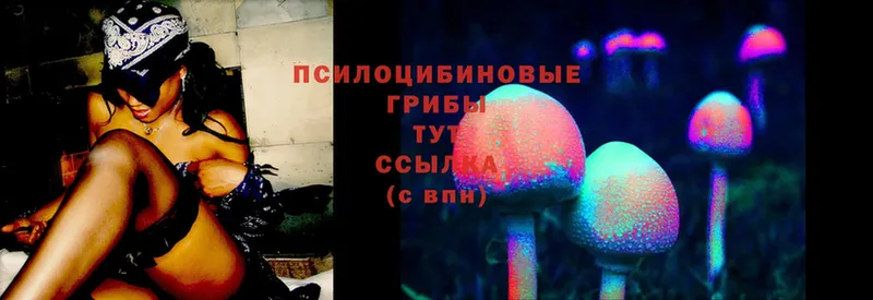 ссылка на мегу онион  Гай  Псилоцибиновые грибы Cubensis  наркота 